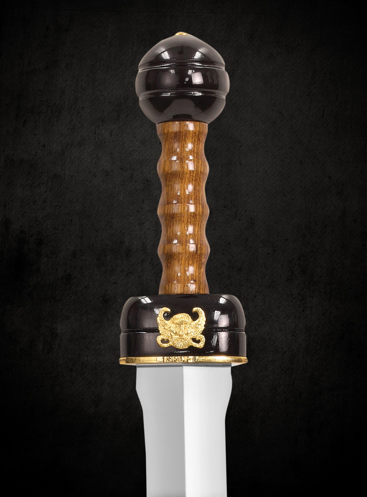 Gladiator Spanier Gladius 